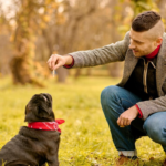 Éducation canine positive_pourquoi la dominance est un mythe