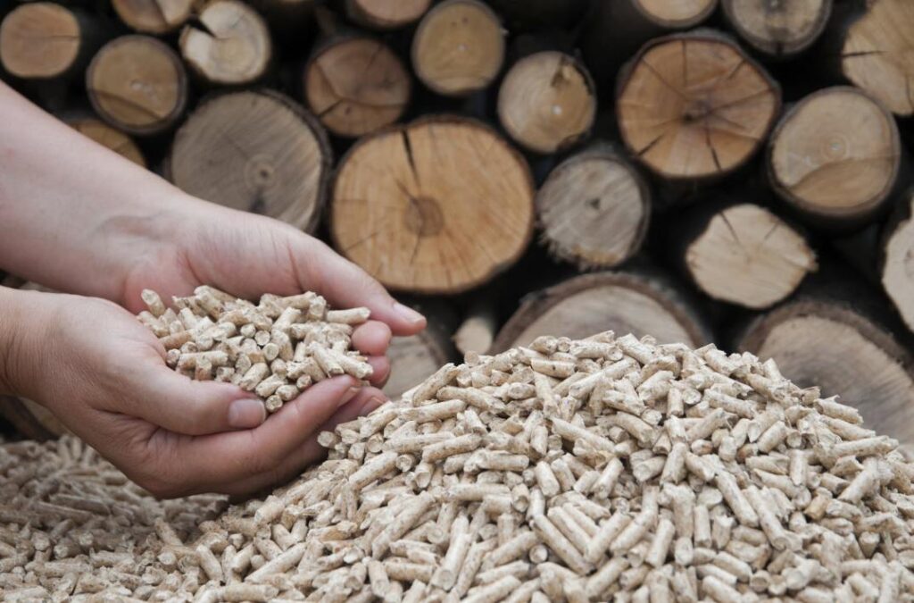 Fioul ou pellets de bois