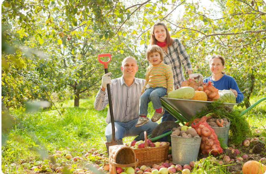 Cueillette à la ferme : l’activité préférée des familles au printemps