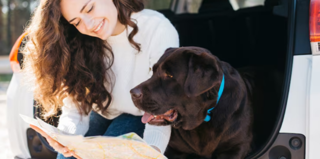 decouvrir_france_avec_chien
